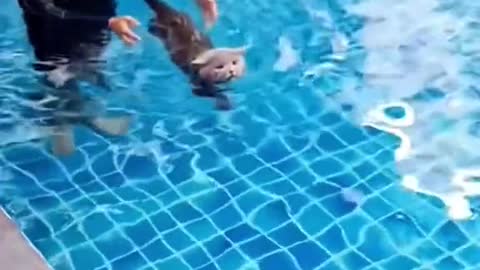 First time to swim and he likes it