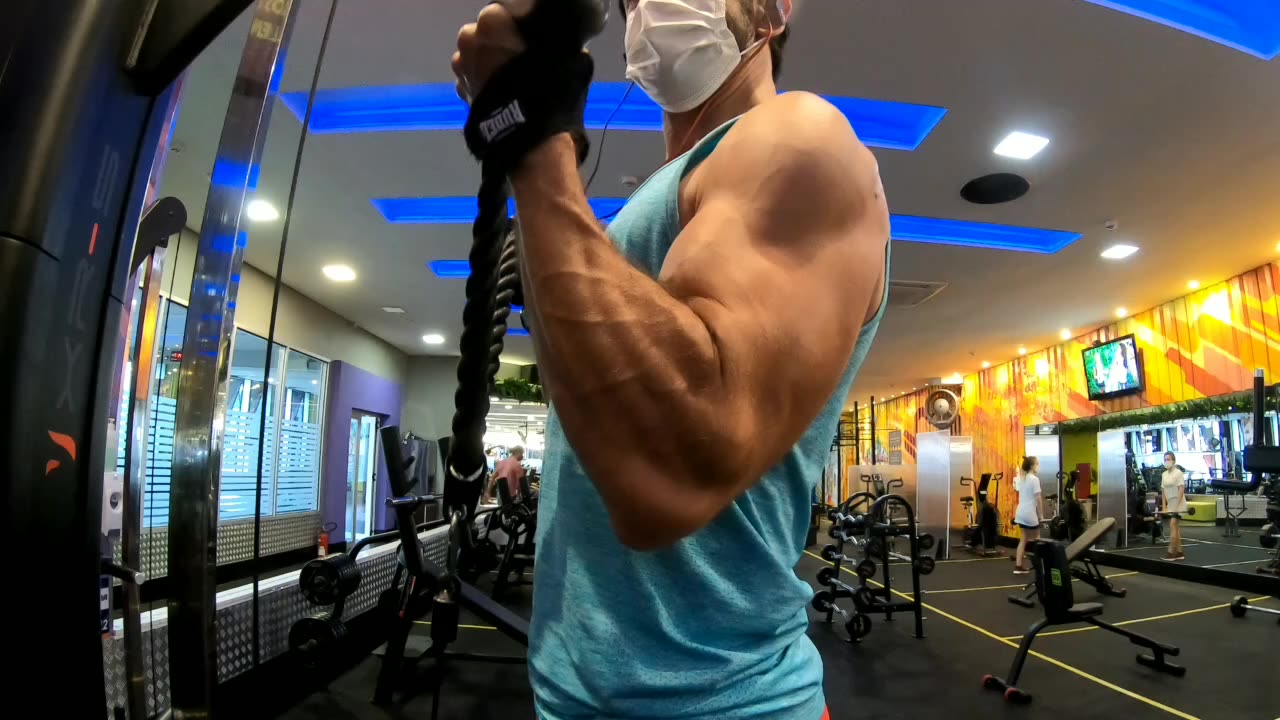 Biceps workout