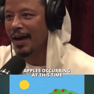 JOE ROGAN - IT MAKE SENSE