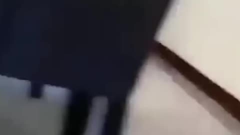 Funny Clips