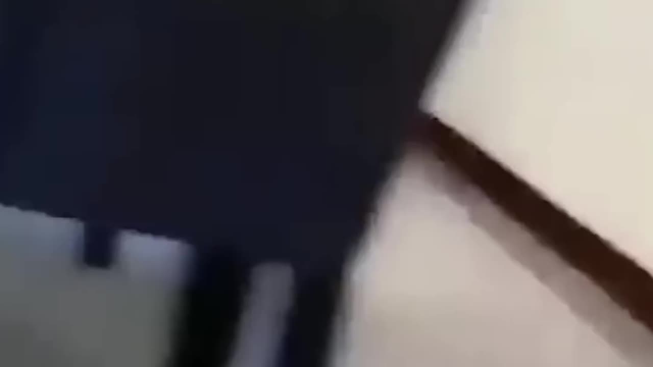 Funny Clips