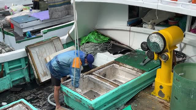 The most valuable black tuna is laboriously hoisted ashore