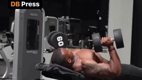 Chest Workout