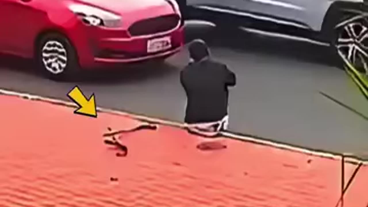 He couldn’t get up but then this happened 🥹🥹