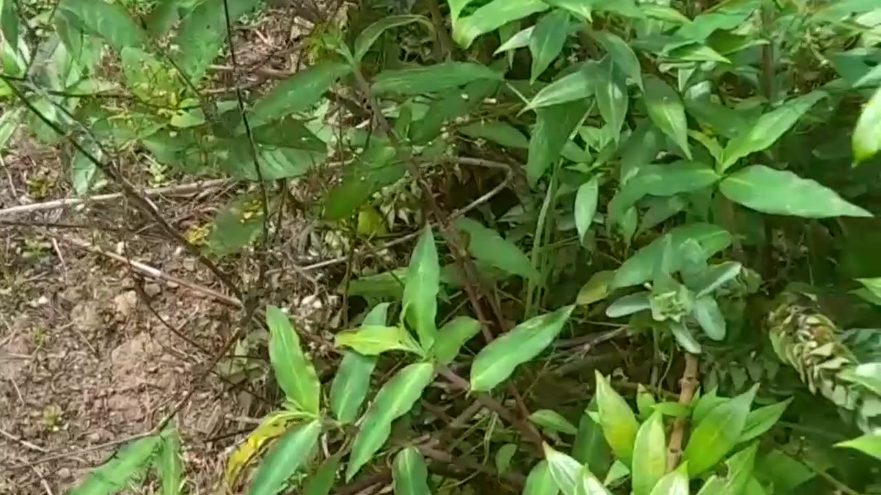 Hey! Something lovely