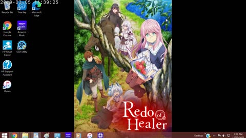 Redo of Healer Review