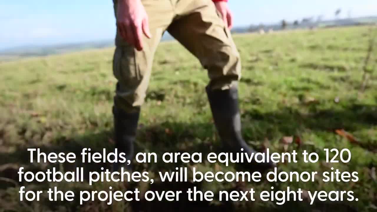 The UK’s new largest ever wildflower grassland