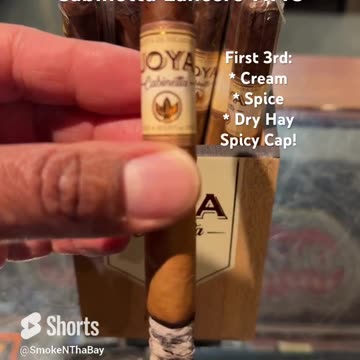 Joya de Nicaragua Cabinetta Lancero 7x48 #Shorts #Cigars #Short #CigarOfTheDay #Cigar #SNTB