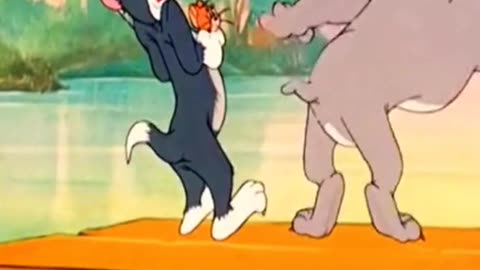 tomandjerry