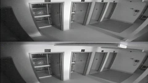 1704CRIB01CribAnalysisArea_2021-01-06_07h40min02s080ms.mp4