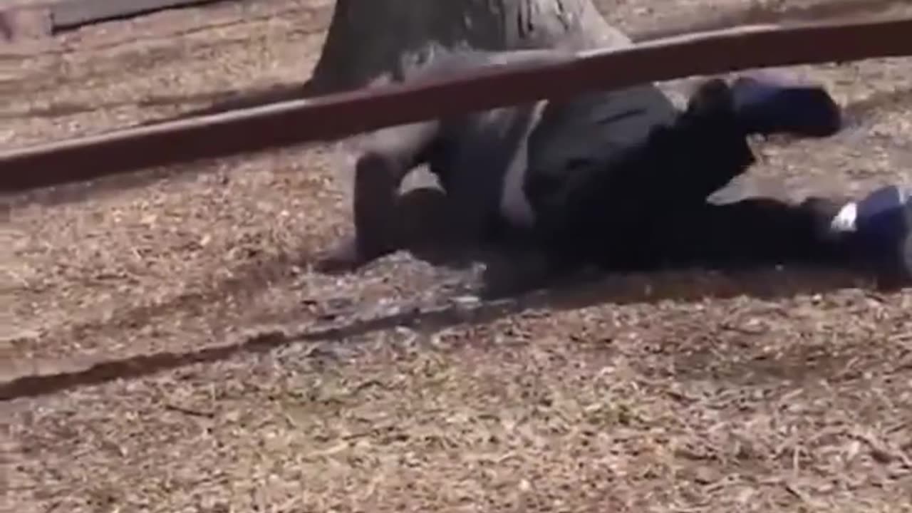 Funny Fails Compilation video 2023😂😁😂.