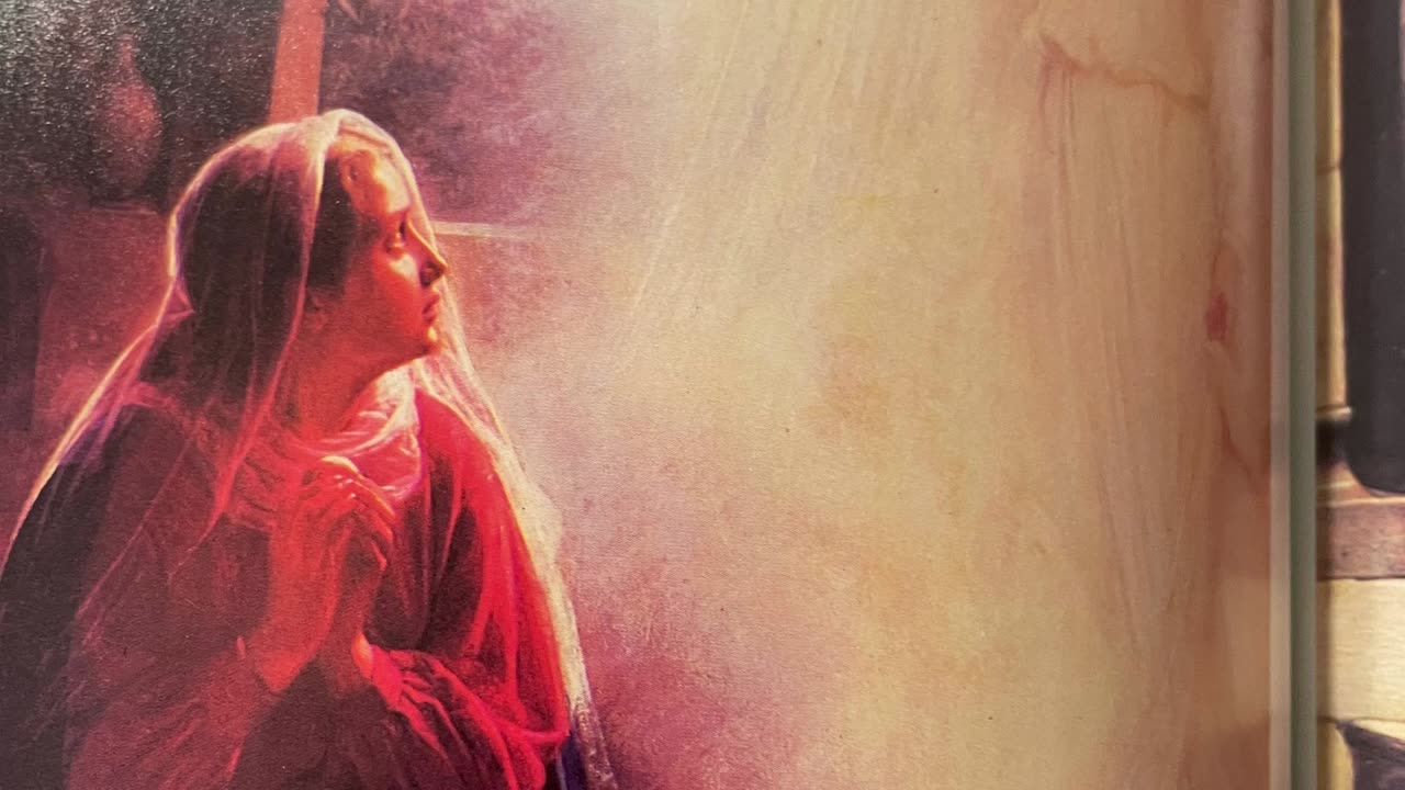 The Bible reading of the day the New Testament series Mathew 6:19-24