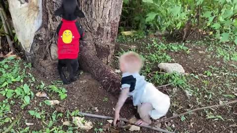 Puppies with baby monkey