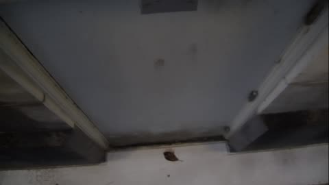 0921USCG00HT18Exterior_2021-01-05_16h00min01s330ms.mp4