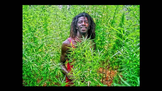GANJA POWER JOY 2009 rok WIDEO