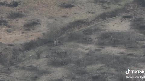 +18 Disturbing Video showing dead and wounded