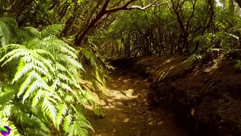 RELAXING MUSIC FOR SLEEP 😴😴