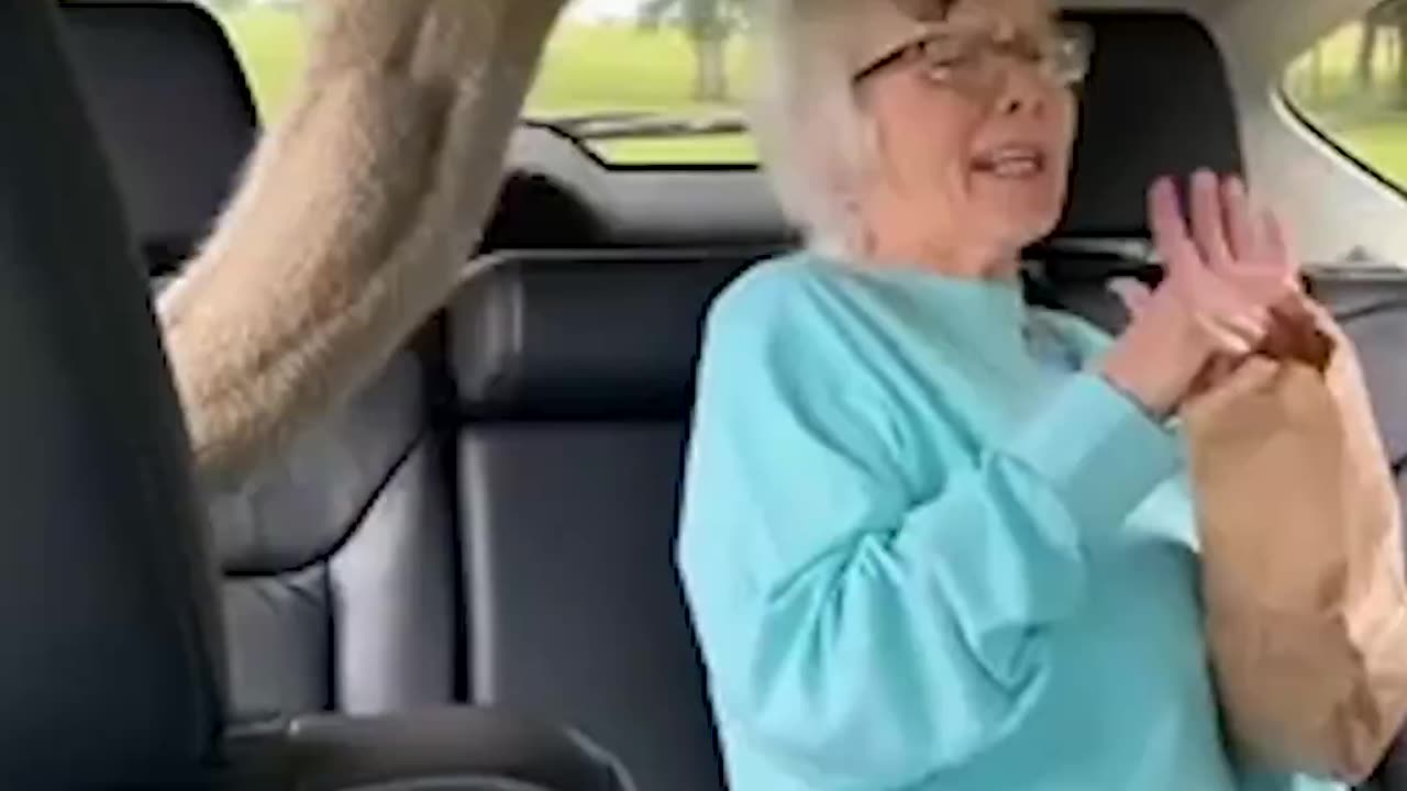 Grandma's not so wild about this safari