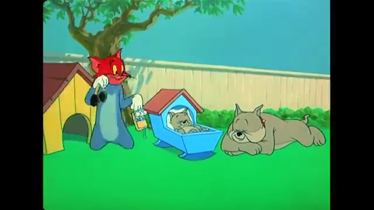 Tom and Jerry