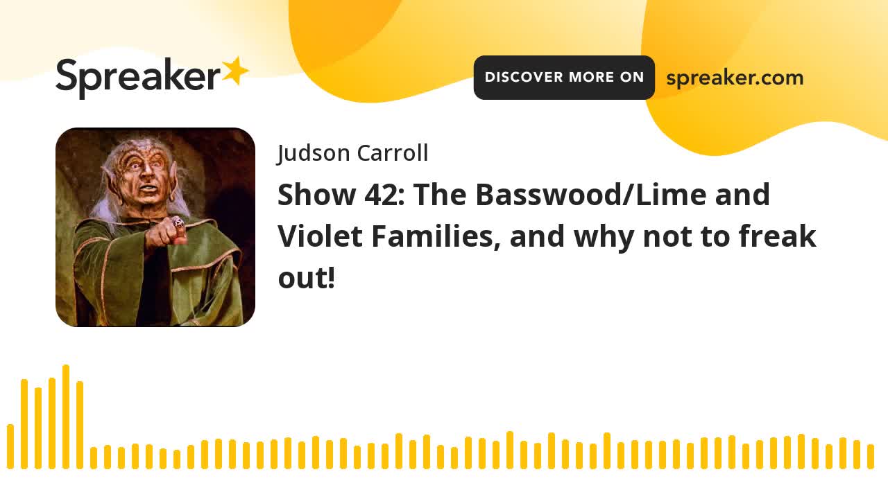 Show 42: The Basswood/Lime and Violet Families, and why not to freak out! (part 1 of 3)