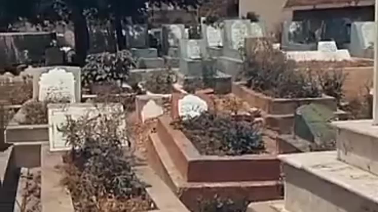 🥰🥰