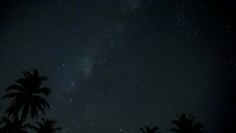 Sounds of the night - In Costa Rica - Jungle Night time