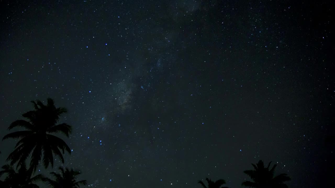 Sounds of the night - In Costa Rica - Jungle Night time