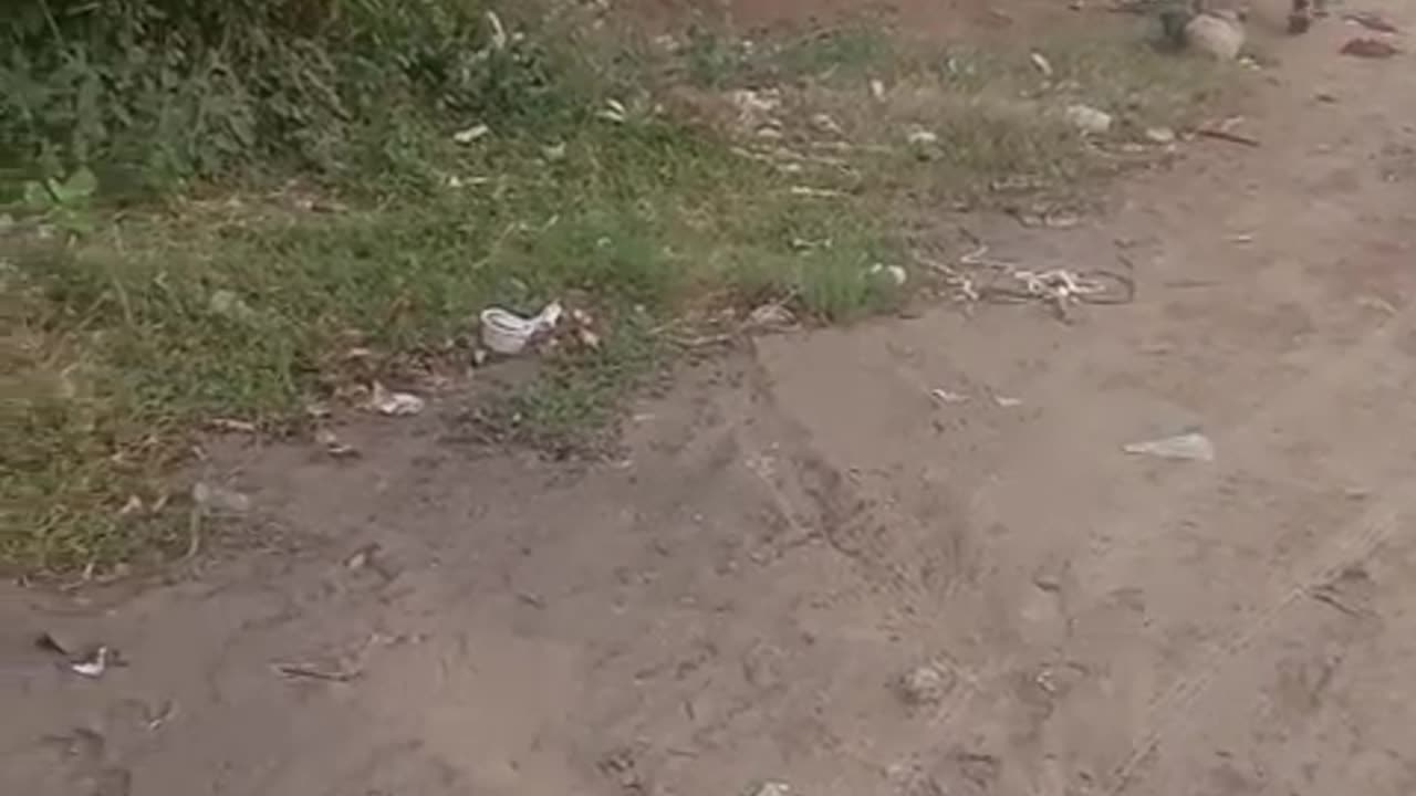 Evening weather video