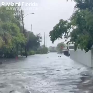 🚨 Miami, Florida Flooding