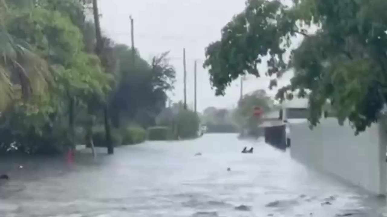 🚨 Miami, Florida Flooding