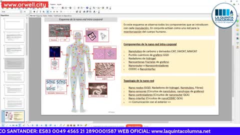 ORWELLITO - MAC-cinated_ Intra-body nano-network