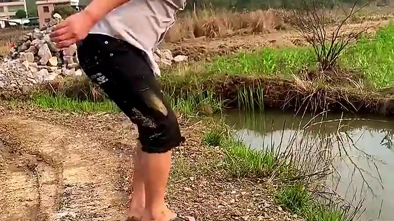 Funny videos