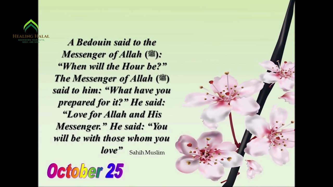 Daily Islamic Reminder - October 25