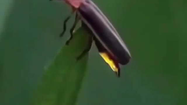 Funny funny funny