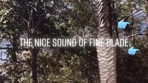 The nice sound of fine blade, do you like it? Would you plz give it a perfect name. ♥️