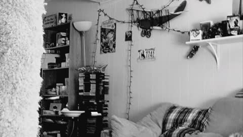 Half Christmas is coming up...