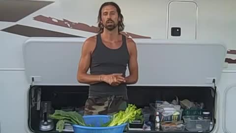 Juicer Recipes - Celery Carrot Cilantro Collard Greens Cucumber ~ Dark Green Juice - July 17th 2009