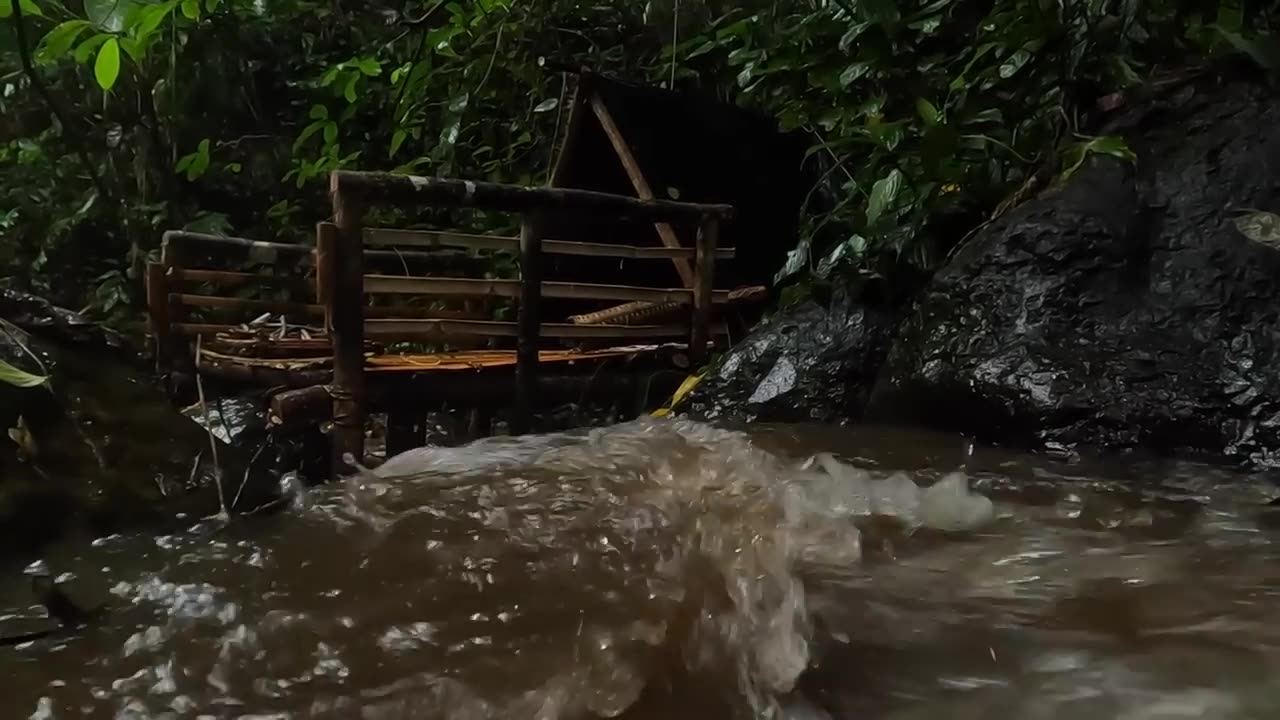 Make a hut on the edge of the river, 🌊fish and look for gold 🔥in the pouring rain ⛈️