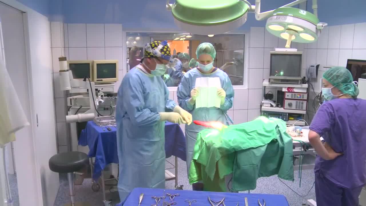Tierklinik Egelsbach