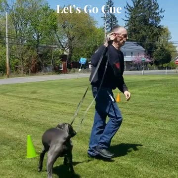 River's 5 PoP Let's Go