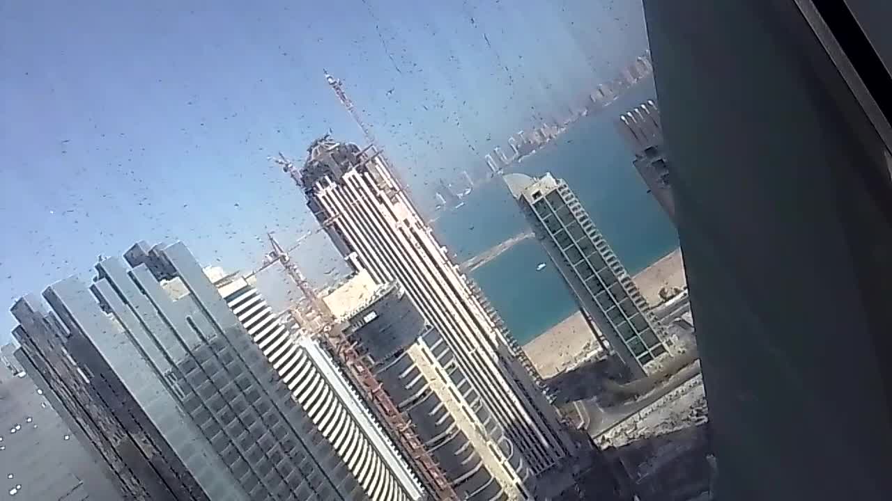 Beautiful Aleph residents Doha