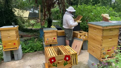 NEW BEEKEEPER ROOKIE MISTAKE PART 2 !