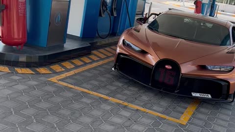 Fan goes crazy over Bugatti