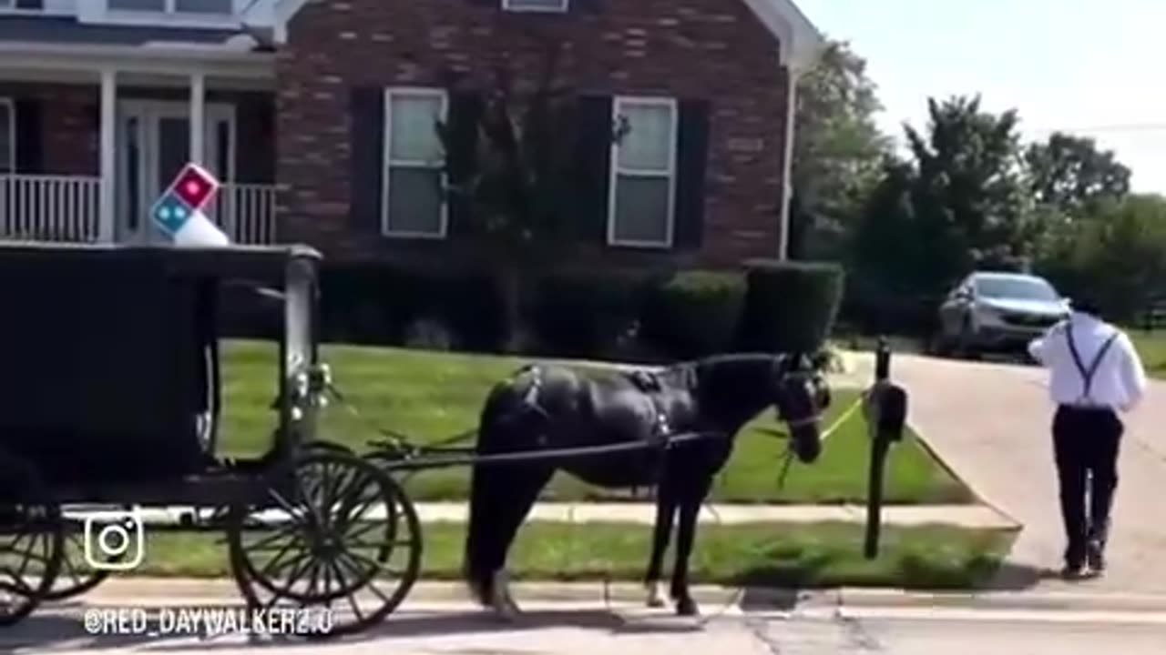 Amish delivering Domino's Pizza