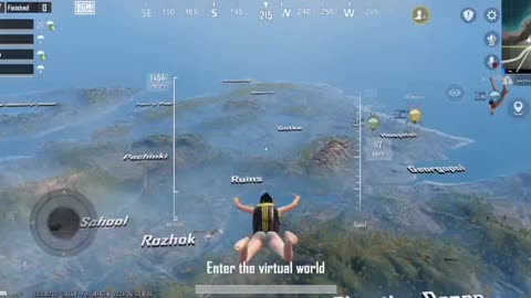 Chicken dinner 🦓🌲🌲