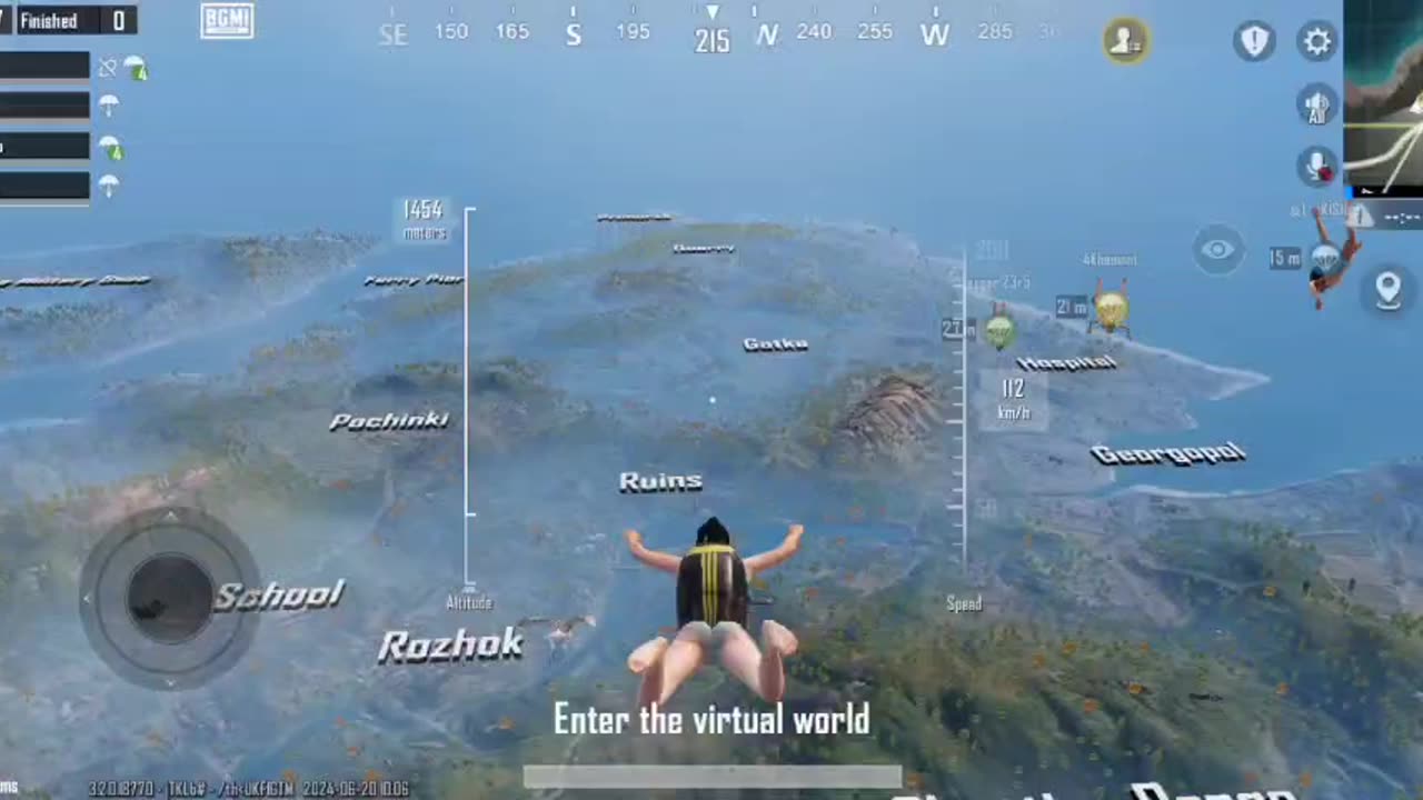 Chicken dinner 🦓🌲🌲