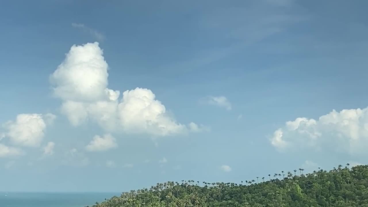 Landscape of the nature in the shore
