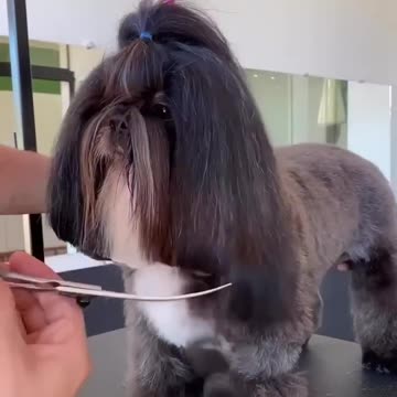 Prontinho p sujar de novo