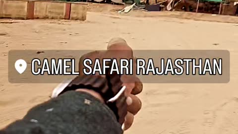 Camel safari rajshthan ❤️ best place for visit rajshthan