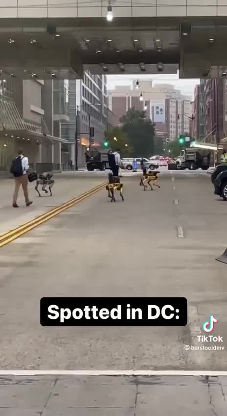 Robot Dogs Spotted in Washington